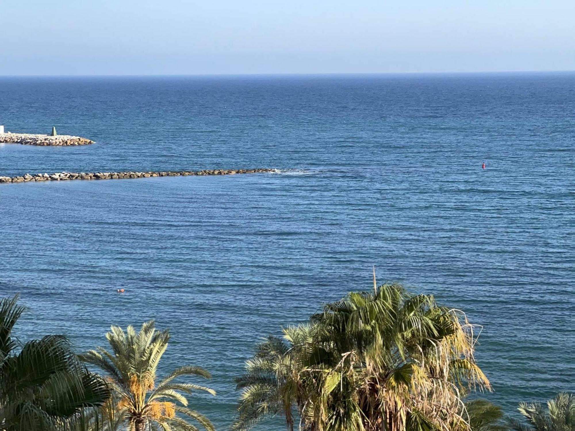 Las Palmas 6 ماربيا المظهر الخارجي الصورة